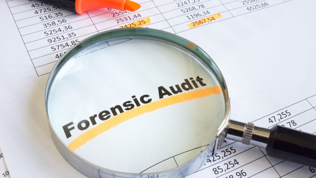 Forensic Accounting Services
